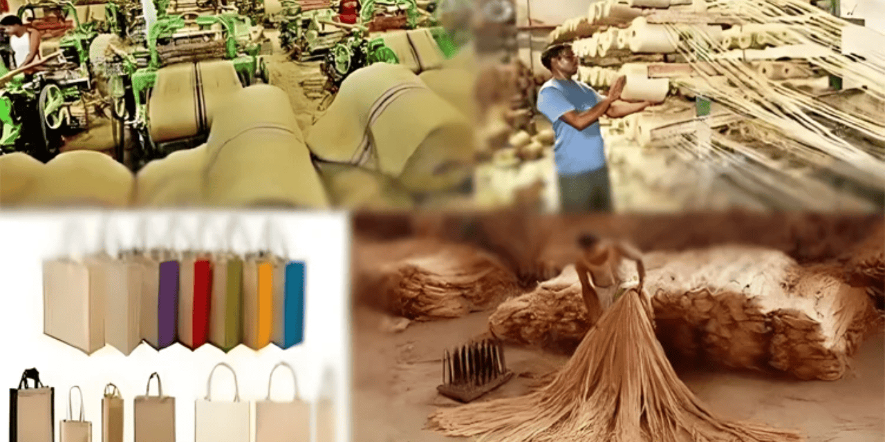 Bangladesh Jute Exports Rise to USD 883.7 Million