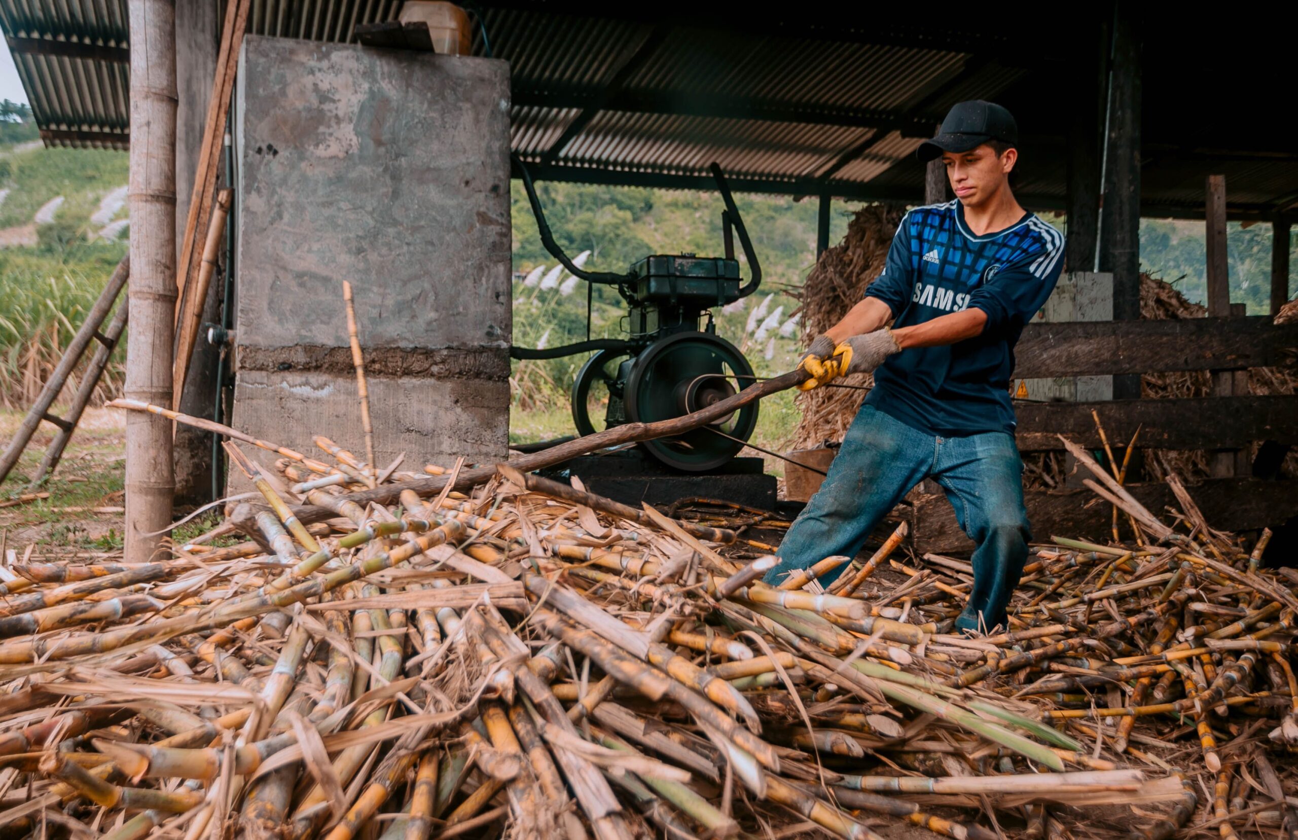 Sustainable Sugarcane Farming: IPL’s Gujarat Initiative Sustainable Sugarcane Farming: IPL’s Gujarat Initiative